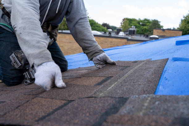 Best Residential Roof Replacement  in Grant Valkaria, FL